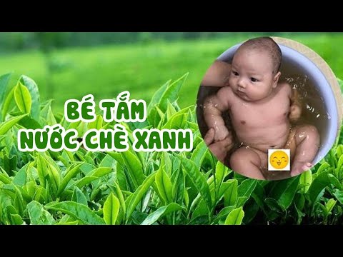 Cách Nấu Nước Chè Xanh Trị Rôm Sảy Cho Bé