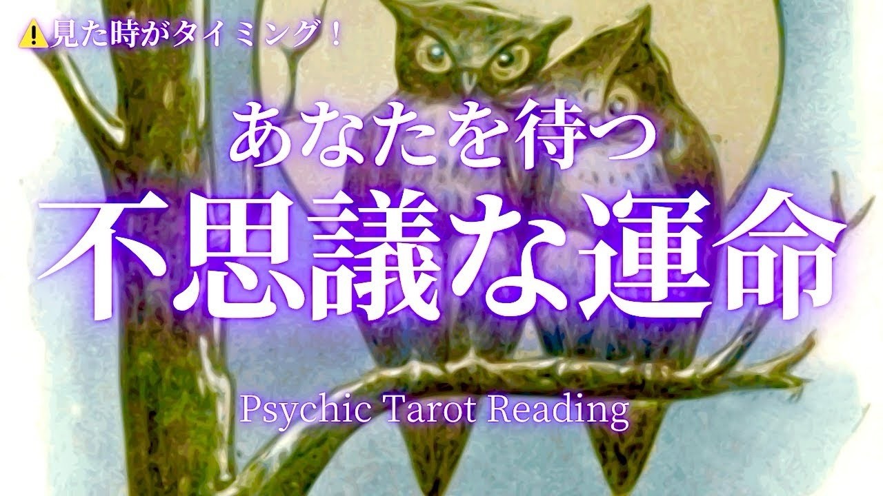 霊視タロットなぜかになっちゃうすごい事が判明しましたあなたを待つ不思議な運命を紐解いていきます