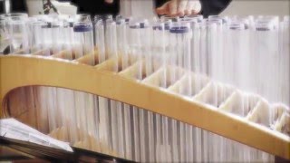 Verrophone