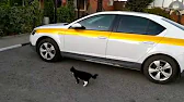 Игорь 777 RUS