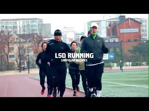 [LSD훈련] 용인 죽전 아르피아 체육공원
