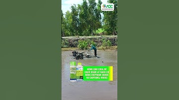 Diệt cỏ hiệu quả cao, an toàn cho lúa với bộ đôi DIETMAM 360EC và CANTANIL 550EC #lúa #shorts