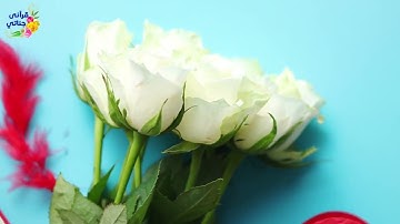 تلاوة ممتعة لسورة البروج بصوت الشيخ ياسر سلامة