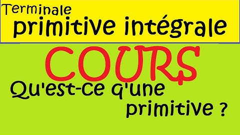 Terminale primitives et intégrales  COURS 1 qu