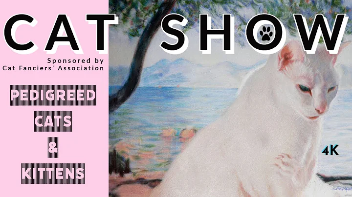 Video 2102481: american shorthair, oriental cats, maine coon cat, colorpoint shorthair, abyssinian, bengal, persian, cat show, pets, kitten