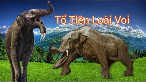 Voi cổ đại Tổ Tiên Loài Voi Hiện Đại có vẻ ngoài quái dị