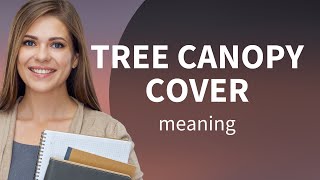 Exploring the Green World Above: Understanding Tree Canopy Cover