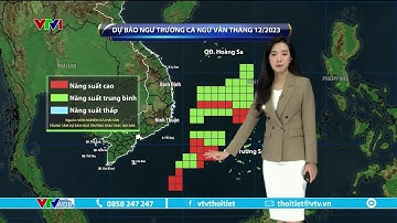Dự báo thời tiết 9h10 - 04/12/2023 | Ngư trường cá ngừ vằn tháng 12/2023 | VTVWDB