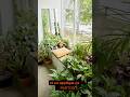 Tester petit pour réussir gros #jardinage #tips