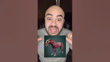 ليش سموا الاسد ملك الغابة صدقني الجواب بصدمك ايمن تيوبر 