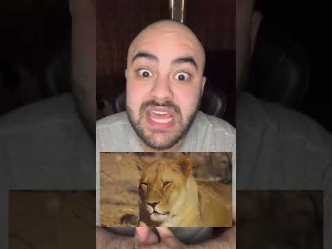 ليش سموا الاسد ملك الغابة صدقني الجواب بصدمك ايمن تيوبر 