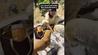 Happy Shivratri 🐾🕉️#straydogkiduniya #straydogsofinstagram #shivratri🙏 #doglover #feedingstrays