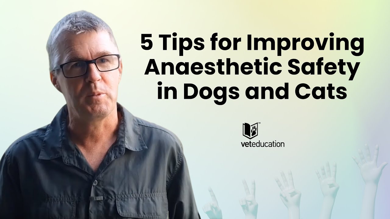 5 Tips for Improving Anaesthetic Safety in Dogs and Cats — Dr. Philip Judge