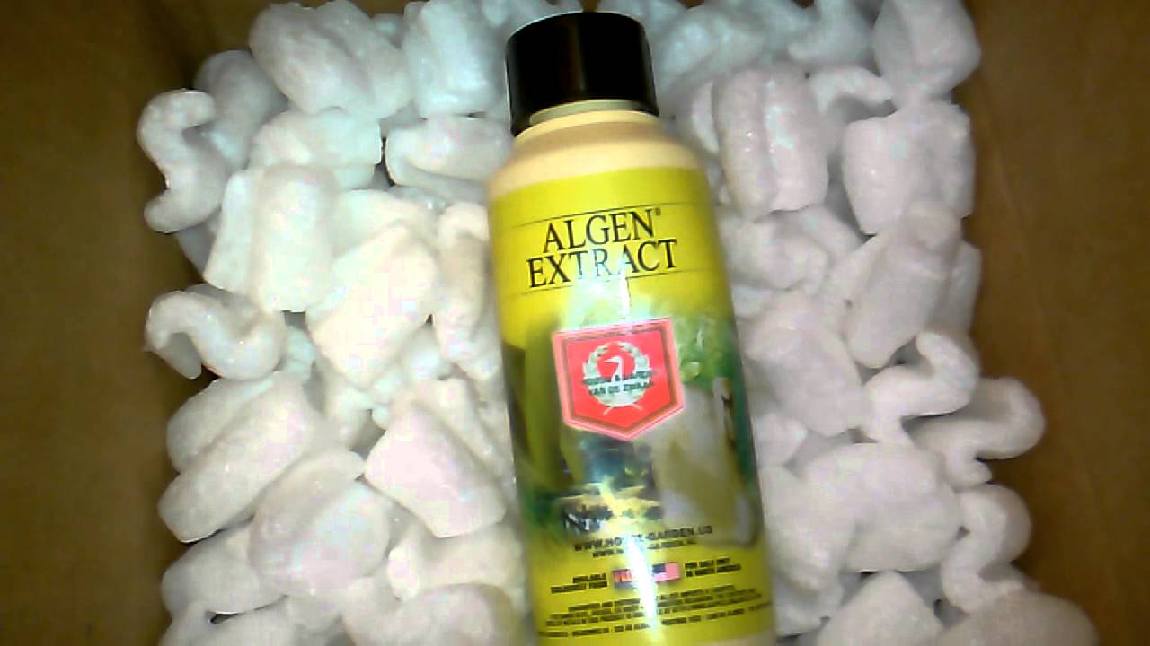 Thanks house & Garden