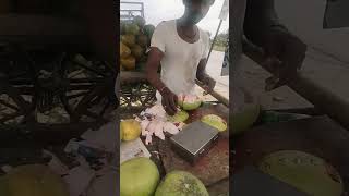 Guess the Fruit nandihills youtubeshorts grapefruits