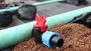 See how Nigerians Constructed Drip Irrigation system for a Soilless farm That generates millions!