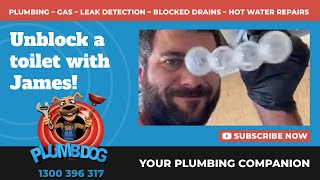 Toilet freshener blocking a toilet - Plumbdog Plumbing Perth