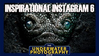 Showcasing And Discussing Inspirational Underwater Images From Instagram  6