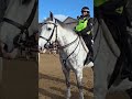 British Police with Horses/King's Guard #visitlondon #4ktravel #horseguardsparade #kingsguard