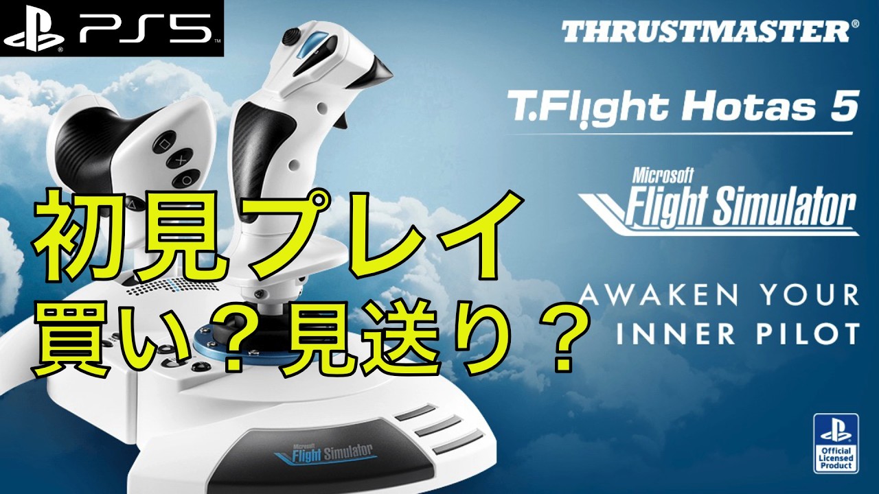 Finally Released: First Impressions | Thrustmaster T.FLIGHT HOTAS