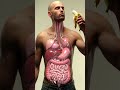 Inside Your Gut: 3D Animation of Banana Digestion &amp; Parasite Worms