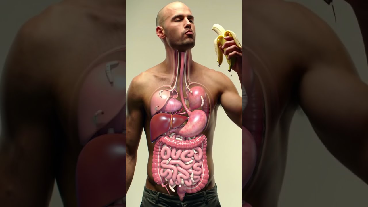 Inside Your Gut 3D Animation Of Banana Digestion Parasite Worms