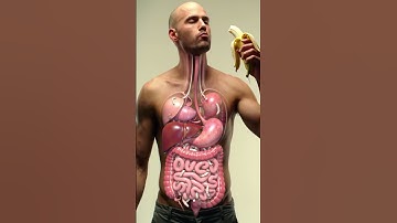 Inside Your Gut: 3D Animation of Banana Digestion & Parasite Worms