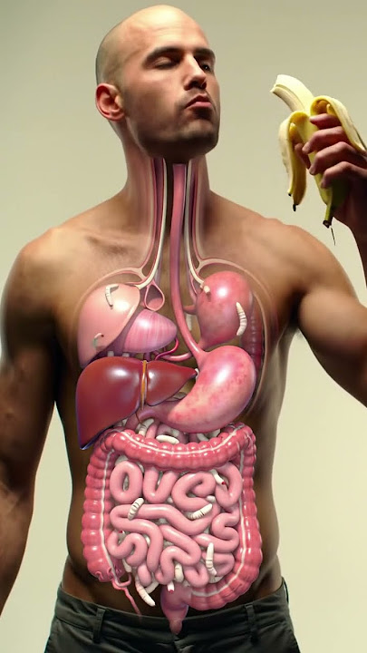 Inside Your Gut: 3D Animation of Banana Digestion & Parasite Worms