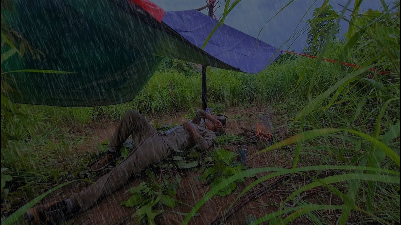 Wild Food Adventure: Foraging in the Mountains