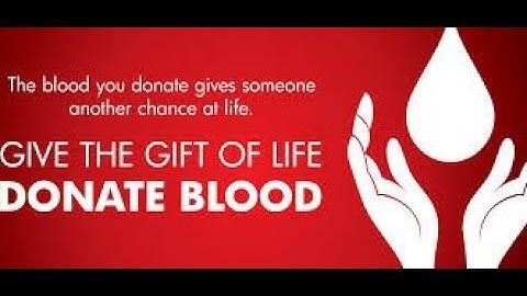 Outtakes Video: DoomRL, Blood Drenched Edition