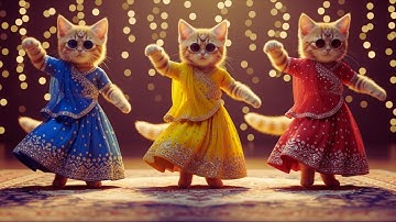 Cutest Cat videos funny dance Videos for cats  बिल्ली डांस | #funny #dancingcat #cat #ViralVideo