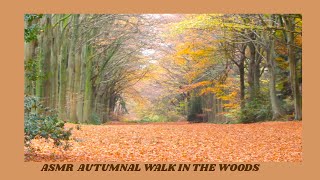 ASMR Autumn Woodland Walk (crispy leaves, woods, wildlife, pastoral)