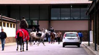 XIV Trofeo Casas Novas