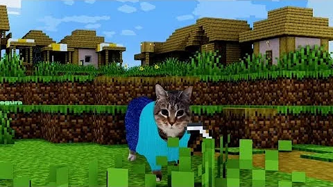 Oiia cat x Minecraft (Credits Tori)
