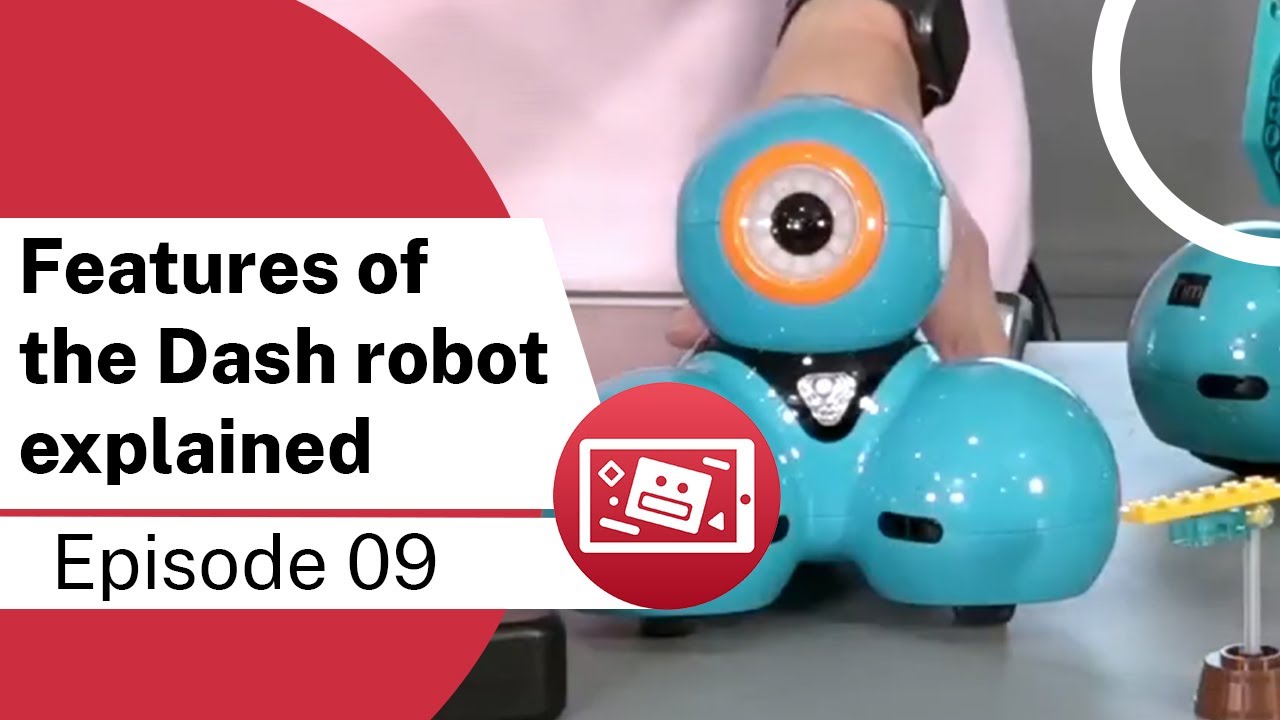 Dot and Dash robots used in the current study.