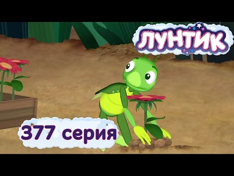 Лунтик И Его Друзья - 377 Серия. Чья Поляна