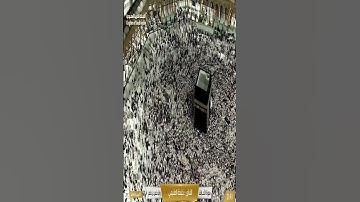 ما تيسر من سورة يونس الشيخ ماهر المعيقلي