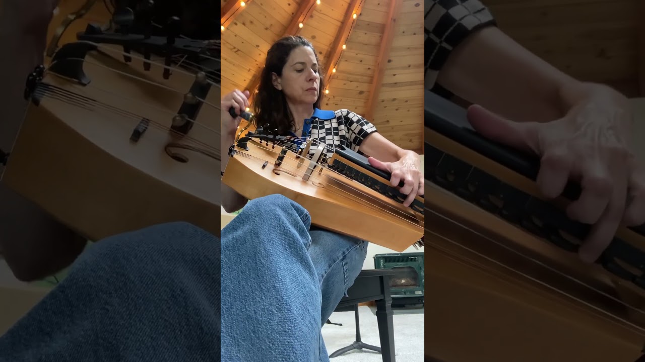 A little improv on the Hofer gurdy for a Friday afternoon  