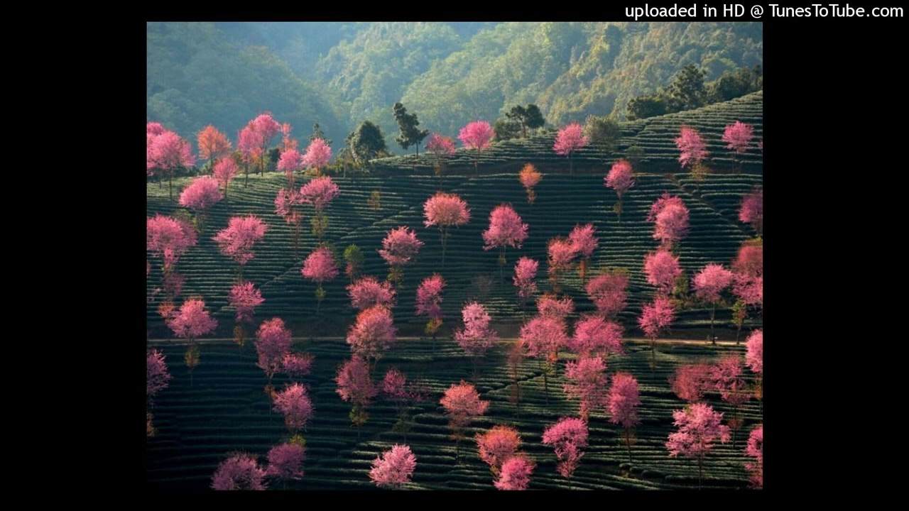 [free] iayze x izaya tiji + ambient type beat - "not alright"