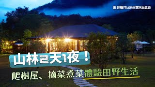 台中民宿｜躲山林2天1夜！爬樹屋、摘菜煮菜體驗田野生活隱藏 ... 