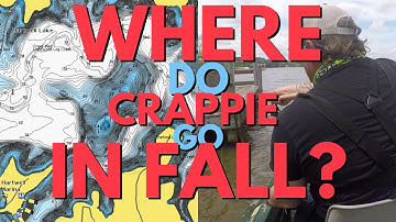 Waar gaan crappies in de herfst heen?