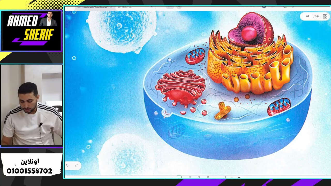 علوم متكاملة شرح الدرس الخامس الاهمية البيولوجية للماء اولي ثانوي 2026