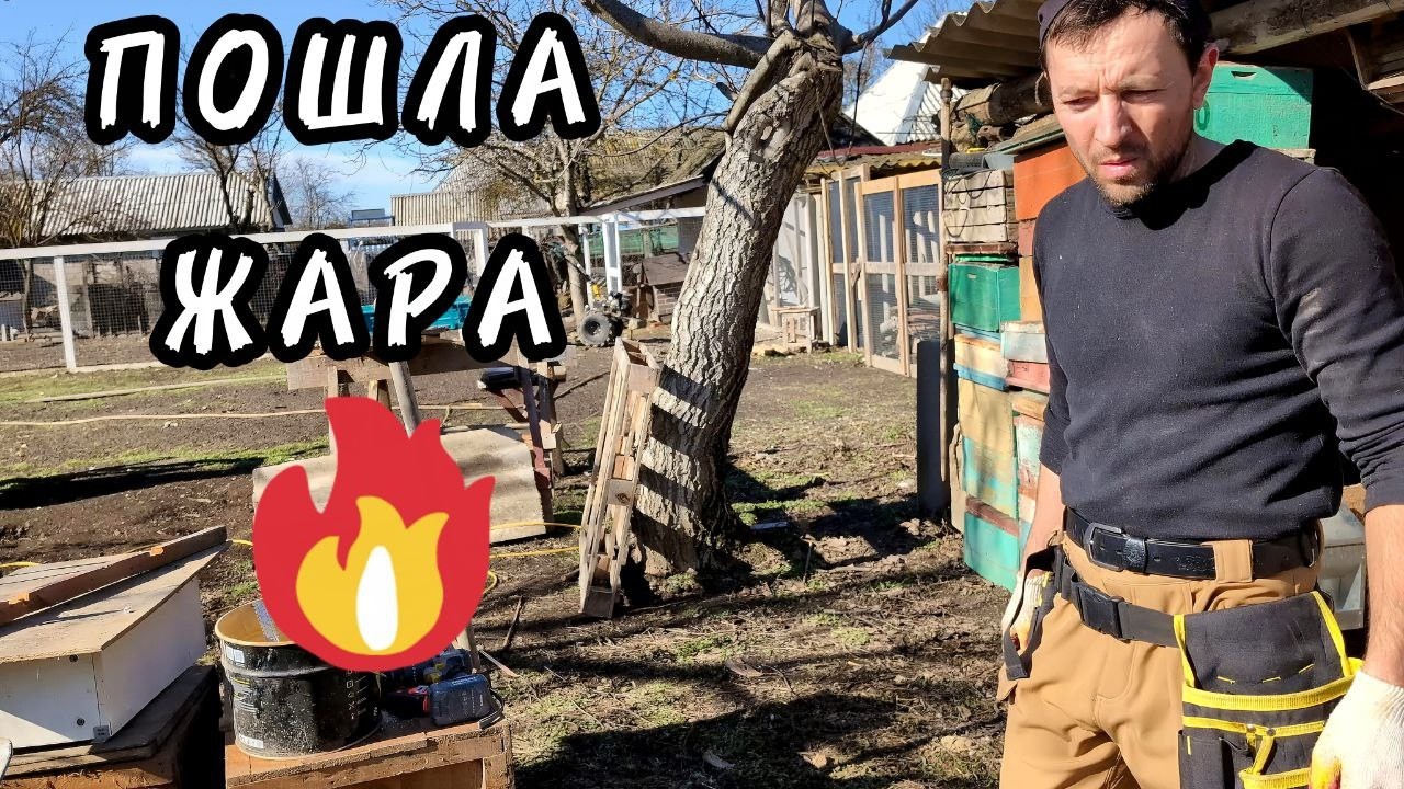 ⚫ ЖИЗНЬ НА ЗЕМЛЕ: Расхламление участка и новый птичник за копейки