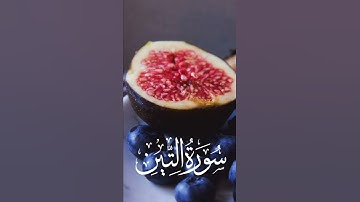سورة التين