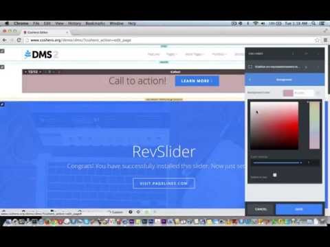 Pagelines DMS and CSS Hero - Setting a Custom Class