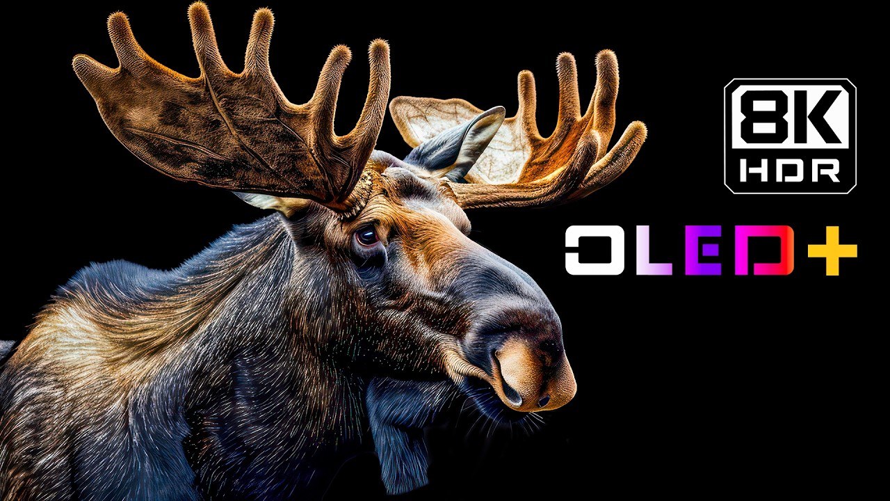 BEST OF OLED – Ethereal Earthviews in 8K HDR | Dolby Vision™