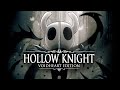 Hollow Knight Wallpaper Celular Hd