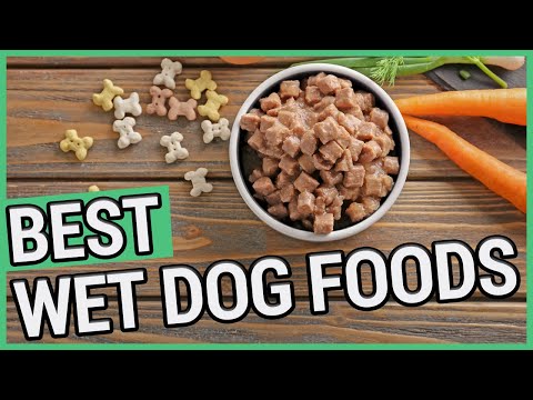 best-canned-dog-food-|-5-best-wet-dog-foods-2020-🐶-✅