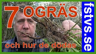 7 Ogräs – och hur de dödas