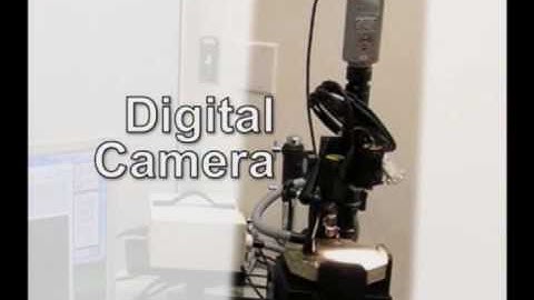 Advanced Research of an Image Analysis System for Hardened Concrete